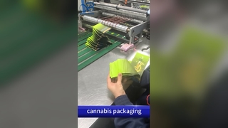 Kindveilige exit-tassen: geurbestendig, op maat gemaakt B2B-zakje dat voldoet aan het Amerikaanse patent