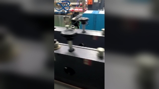 Bedrukt zakje met ritssluiting, aangepast merklogo, lekvrij verpakkingszakje