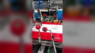 FSC-gecertificeerde milieuvriendelijke biologisch afbreekbare papieren zakken van pergamijn voor kleding T-shirtverpakking