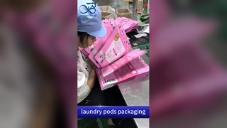 Waspods Plastic Ritszak: Kindveilig Vochtbestendig B2B Groothandel Op maat