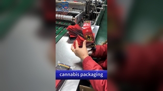 Groothandelaar in kinderveilige tassen: Amerikaanse patent B2B-conforme, veilige, op maat gemaakte zakjes