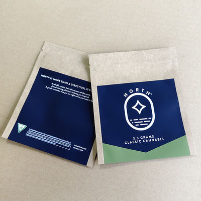 Op maat gedrukte kraftpapieren zakken Bulk order Eco-vriendelijk 10-kleurig logo drukken detailhandel.