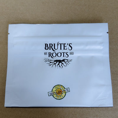 Verstelbare kinderbestendige reisorganiserende tas Tamper-Evident Zipper & RFID Tracking